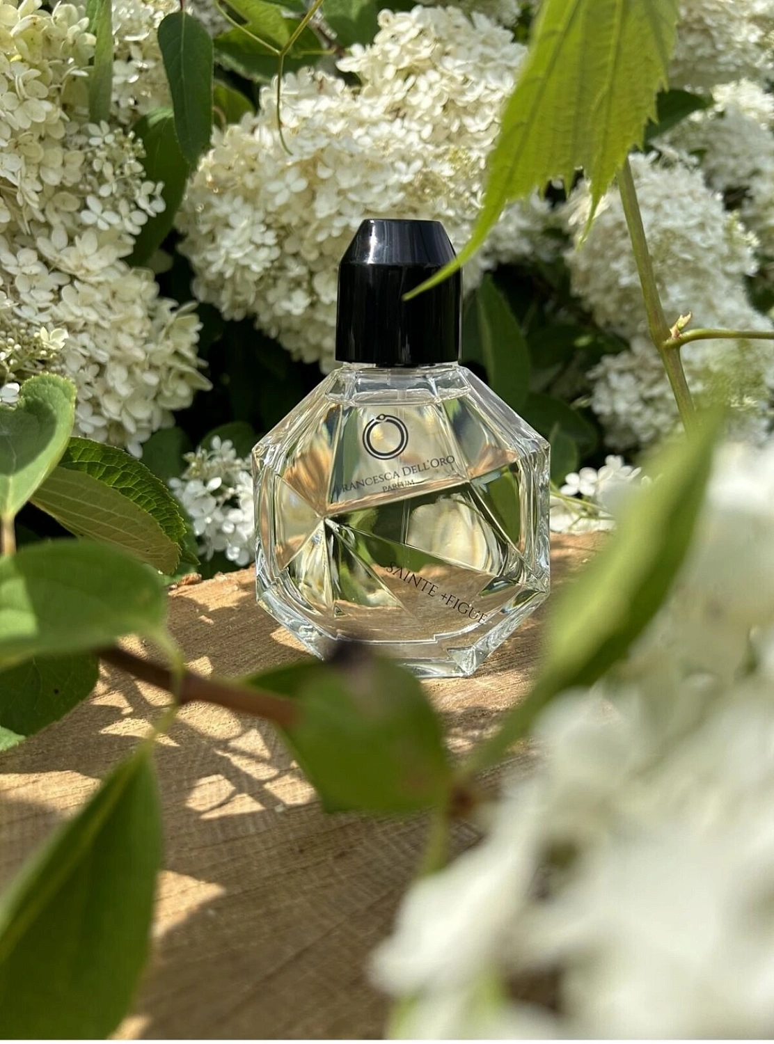 Francesca dell'Oro Sainte +Figue