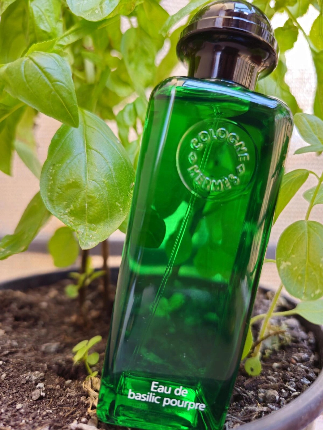 Hermes Eau de Basilic Pourpre