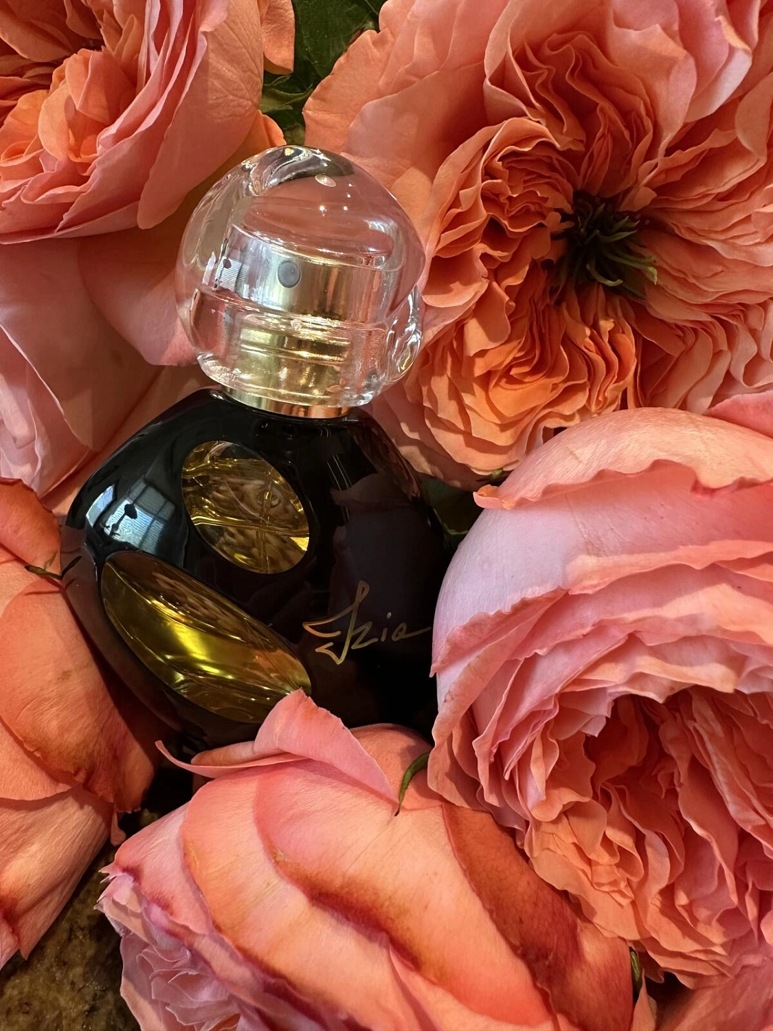 Sisley Izia La Nuit Sisley Izia La Nuit