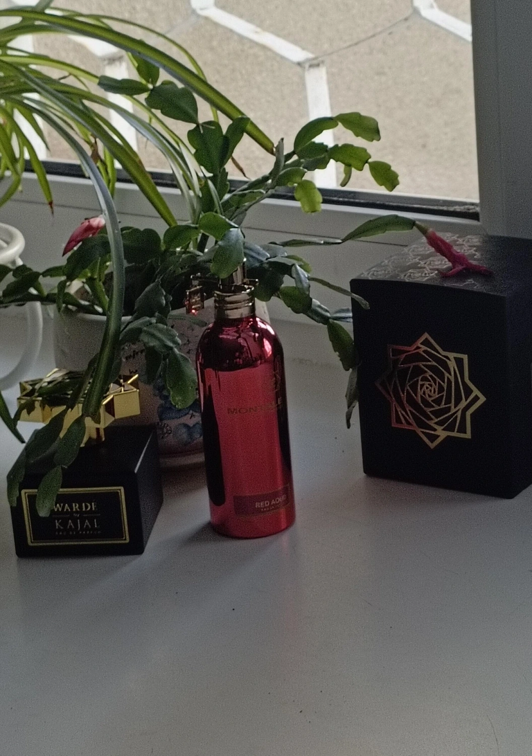 Montale Red Aoud