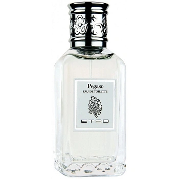 ETRO Pegaso туалетная вода, 100 мл тестер ETRO Pegaso туалетная вода, 100 мл тестер