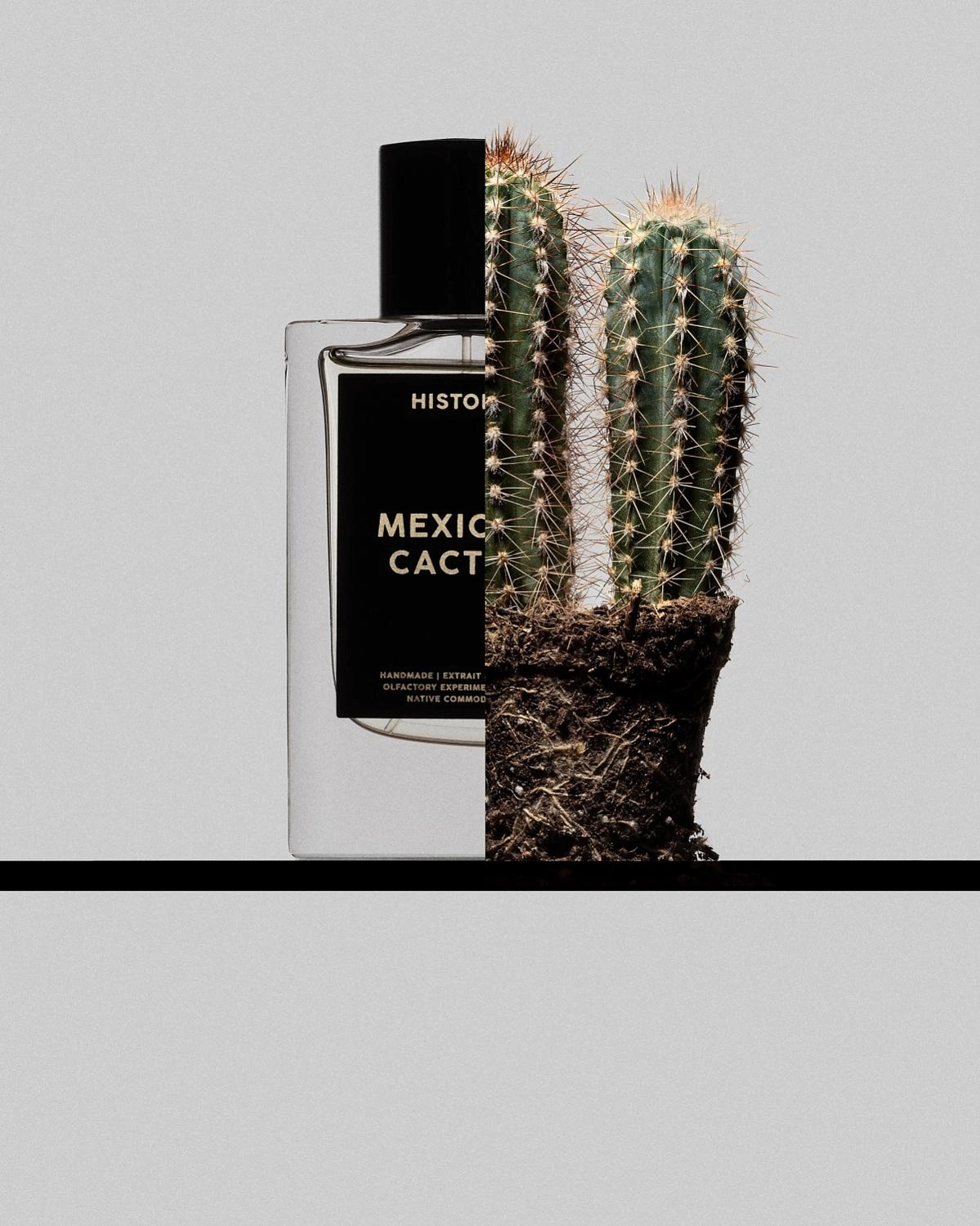 History Parfums Mexican Cactus History Parfums Mexican Cactus