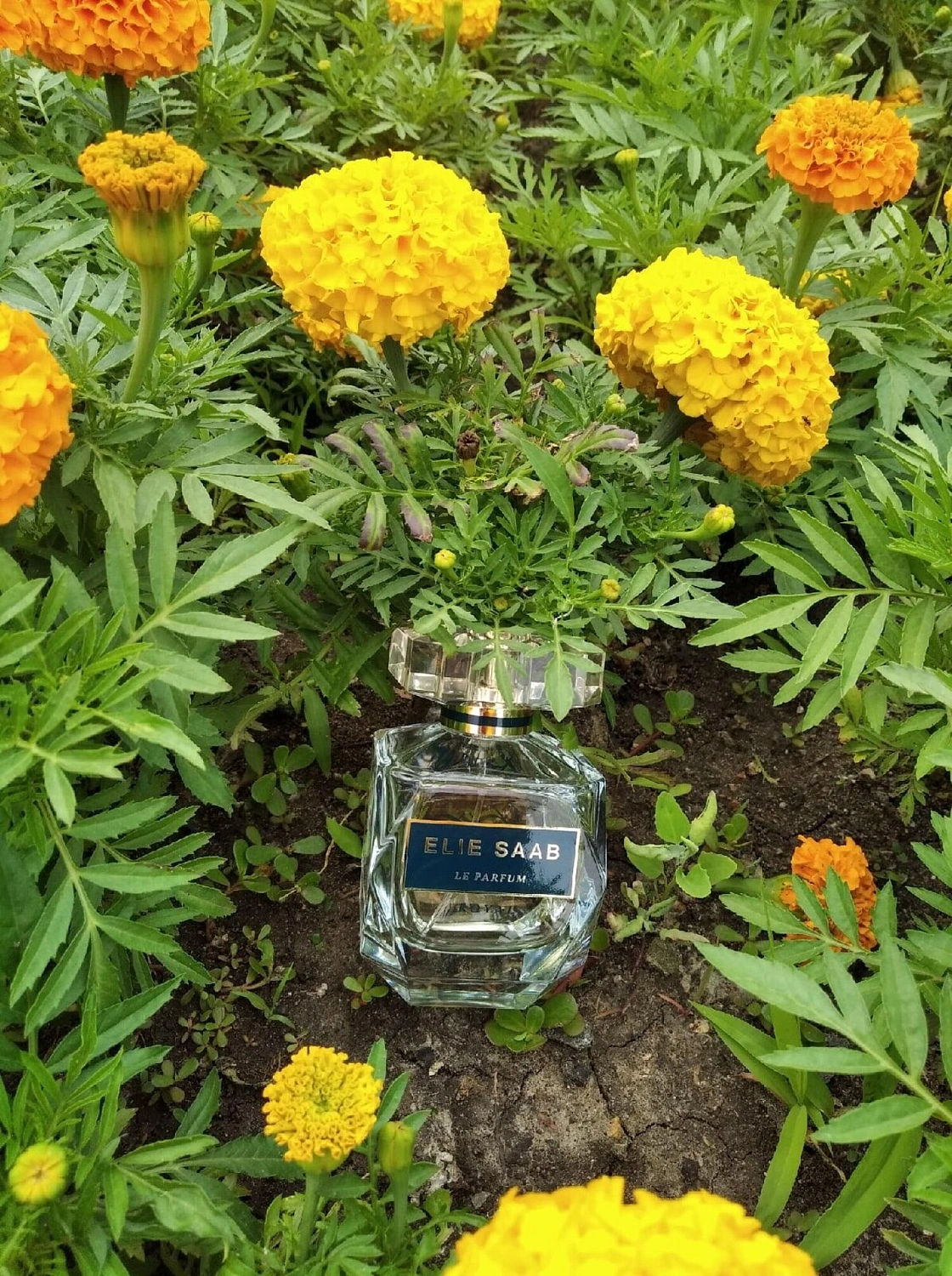 Elie Saab Le Parfum Royal