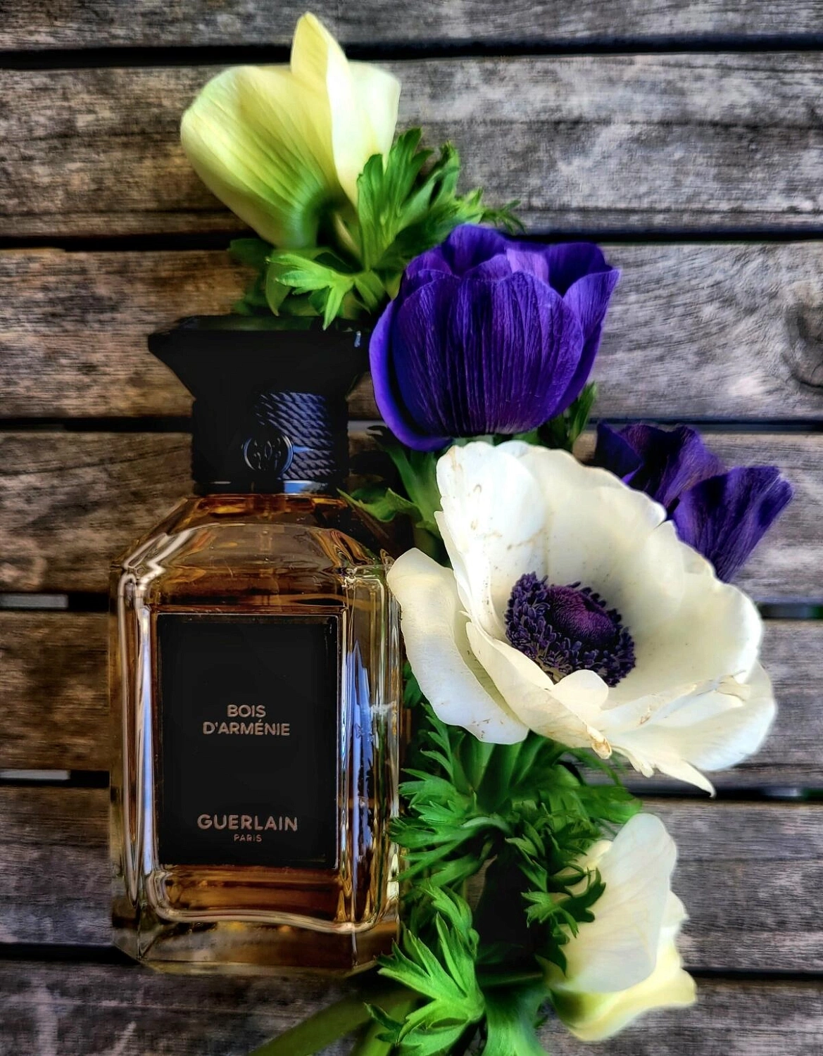 Guerlain Bois d'Armenie Guerlain Bois d'Armenie