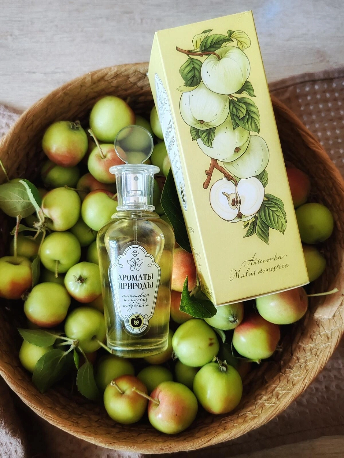 Brocard Антоновка и Луговая клубника