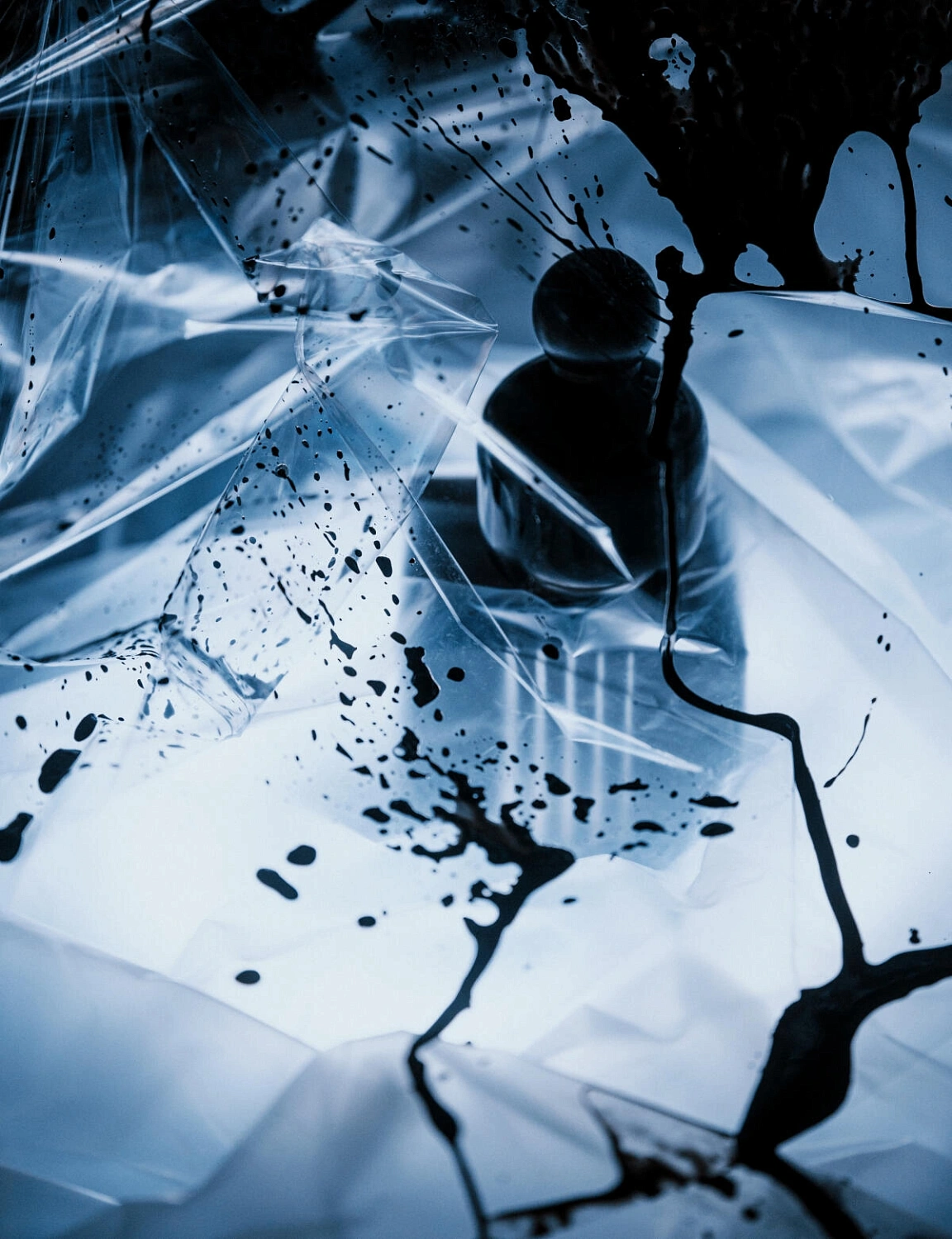 The Vagabond Prince Bass Solo