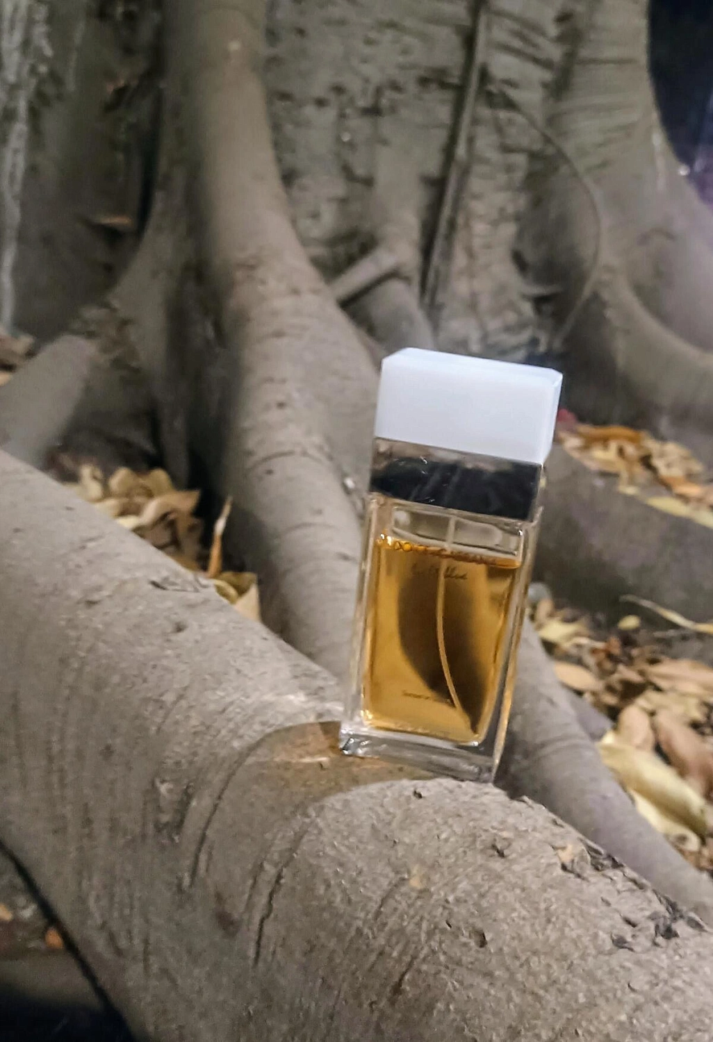 DOLCE & GABBANA Light Blue Sunset in Salina