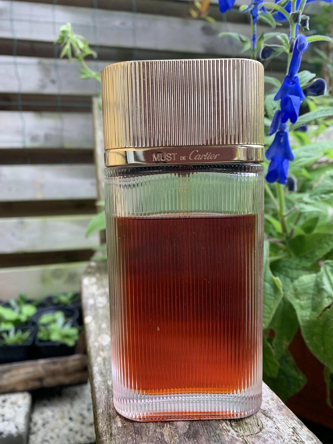 Must de Cartier Gold