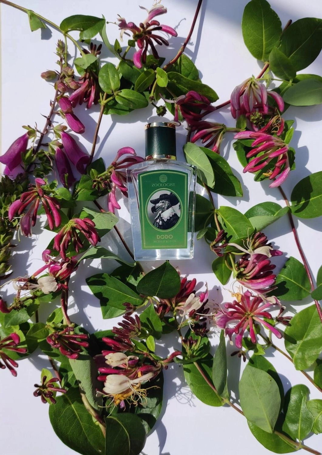 Zoologist Perfumes Dodo Jackfruit Edition