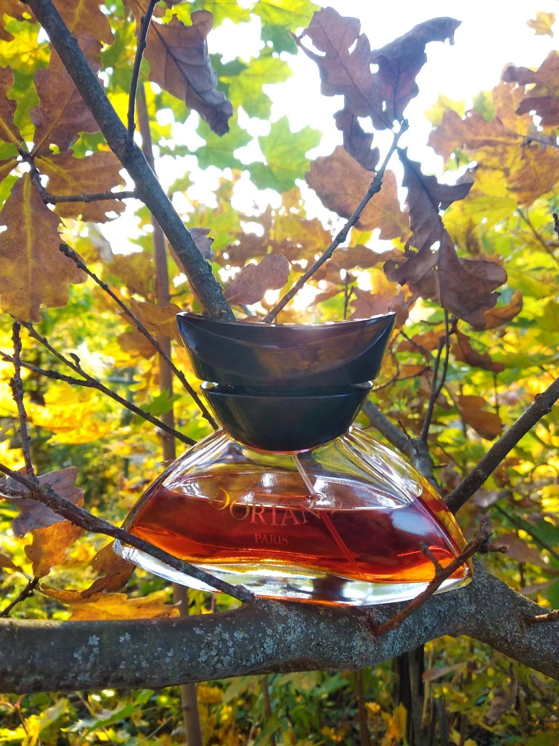 Yves de Sistelle Doriane