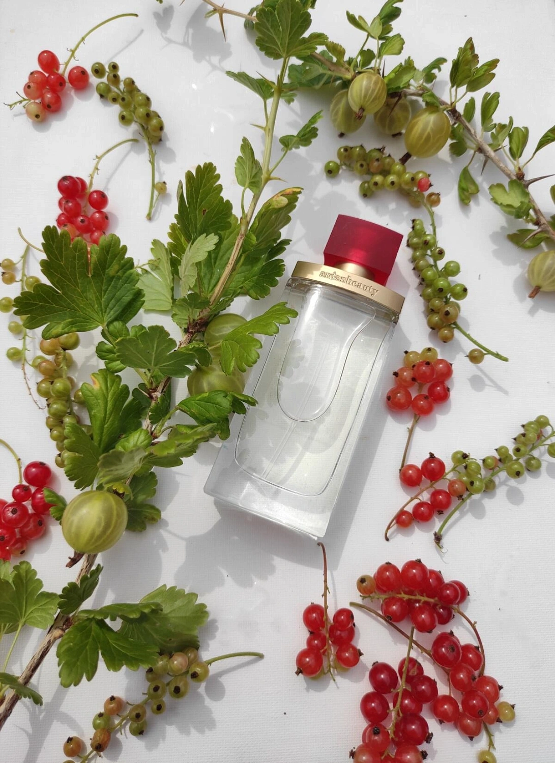 Elizabeth Arden Arden Beauty