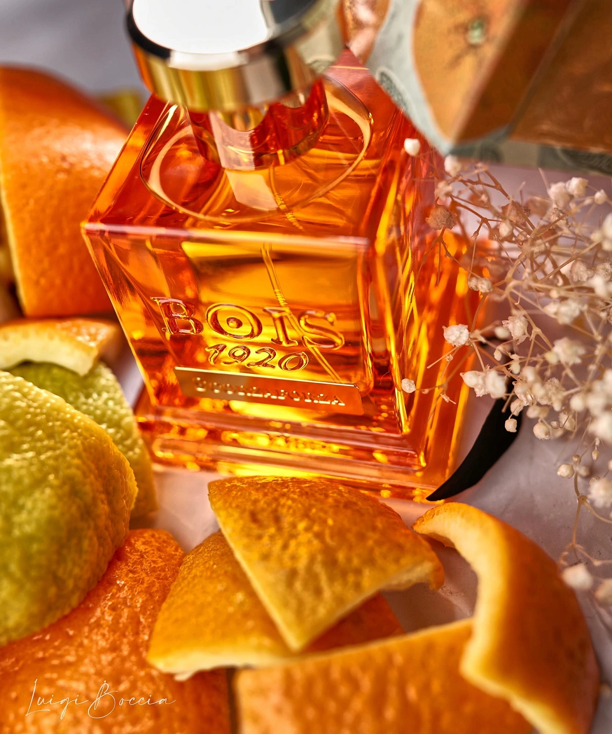 Bois 1920 Scorzaforza