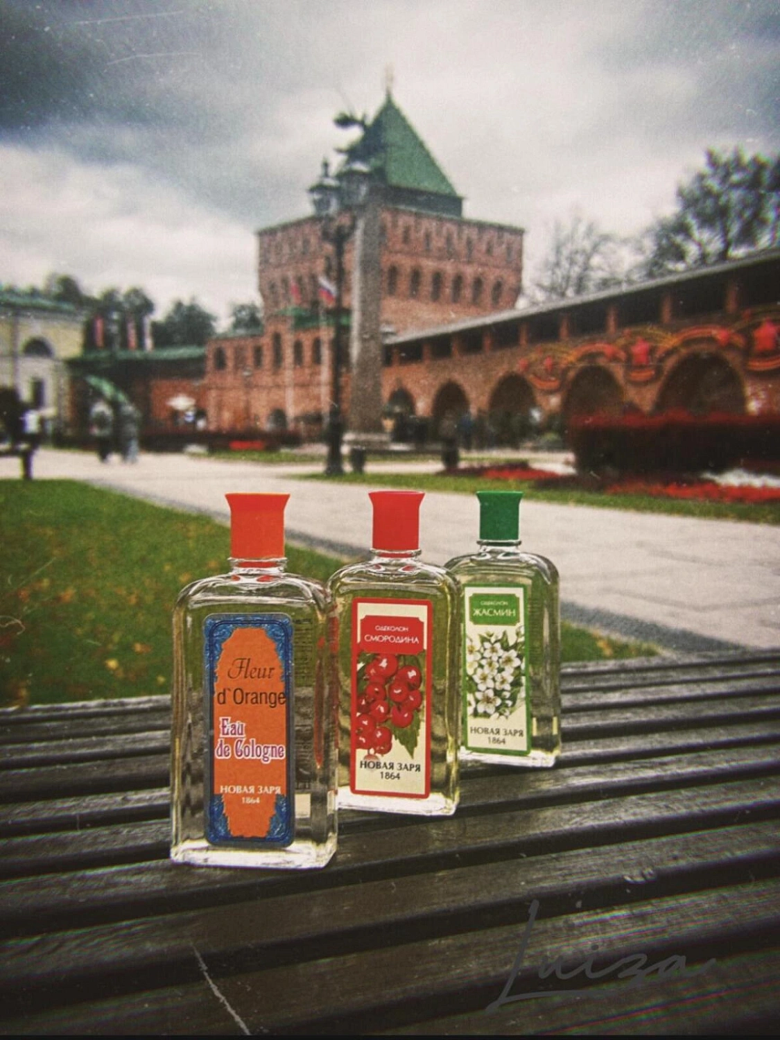 Novaya Zarya (Новая Заря) Смородина (Currant)