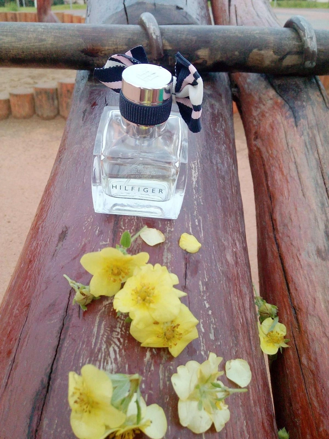 TOMMY HILFIGER Peach Blossom