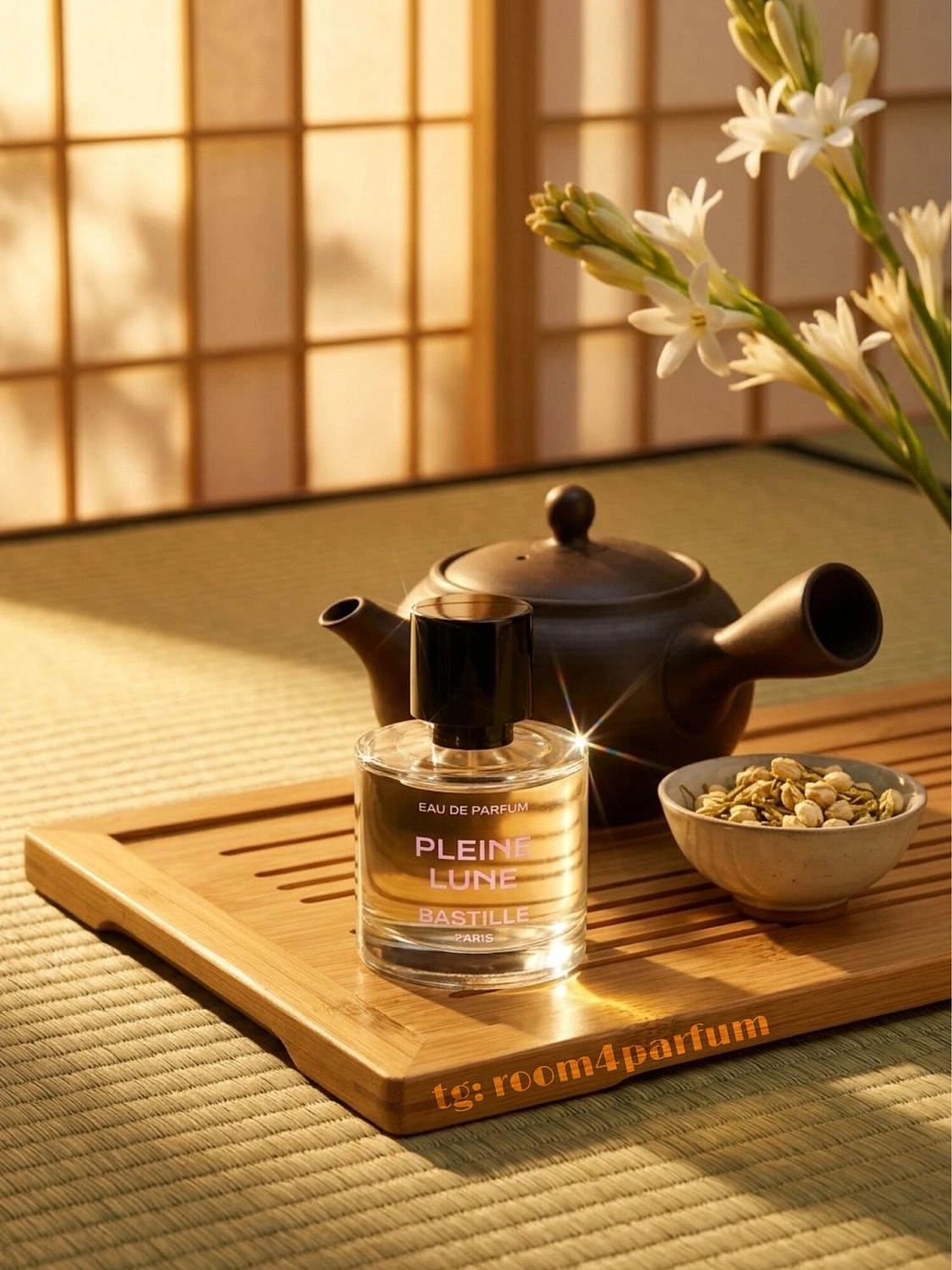 Bastille Pleine Lune