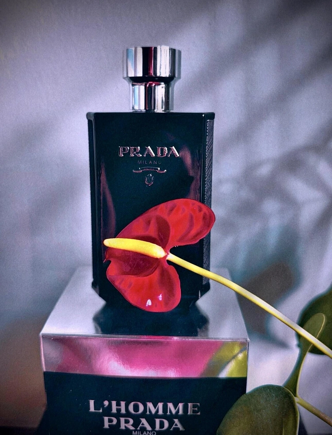 Prada L'Homme Intense
