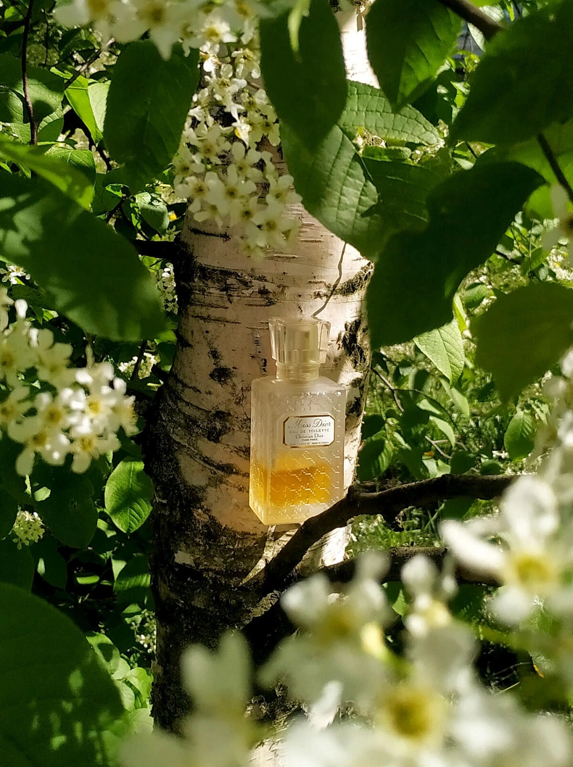 Christian Dior Miss Dior Eau de Toilette Originale