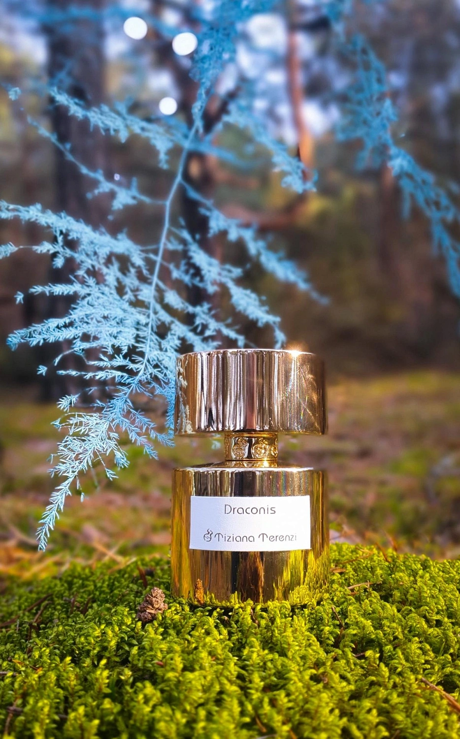 Tiziana Terenzi Draconis