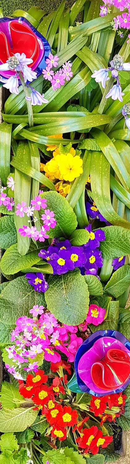 MARC JACOBS Oh, Lola!