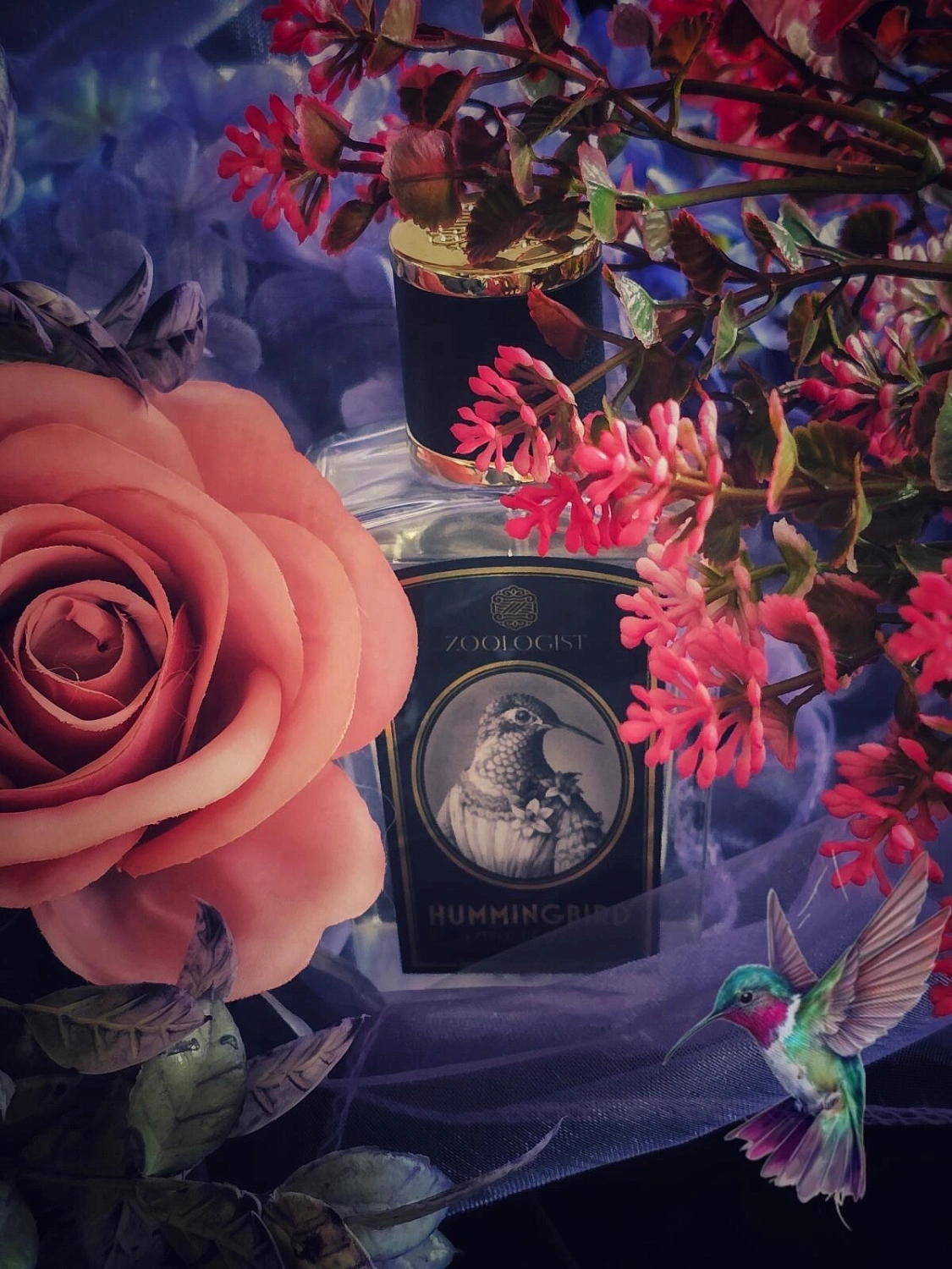 Zoologist Perfumes Hummingbird