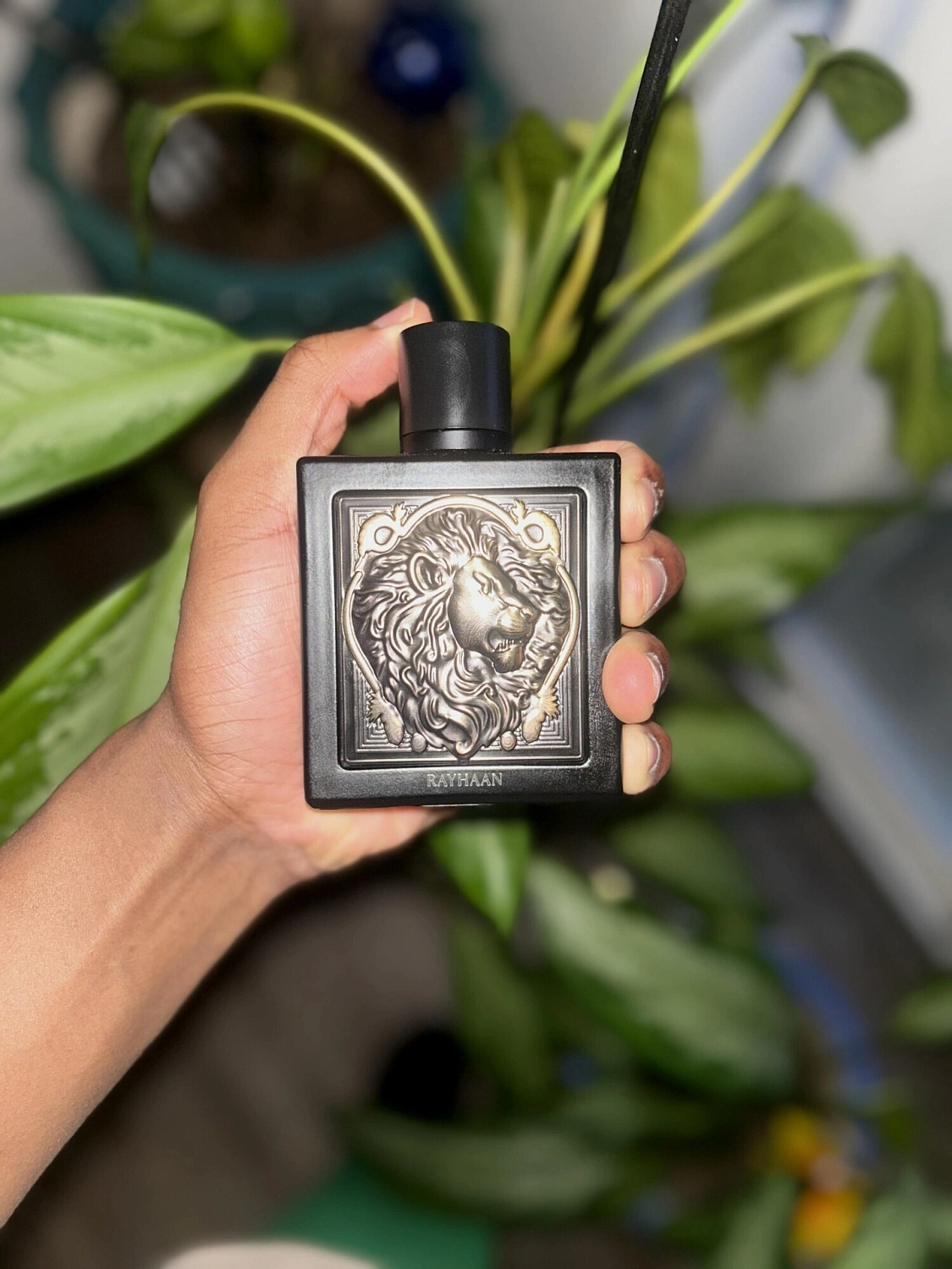Rayhaan Lion