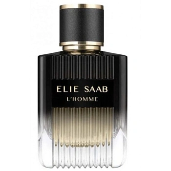 Elie Saab L'Homme парфюмерная вода, 100 мл тестер Elie Saab L'Homme парфюмерная вода, 100 мл тестер
