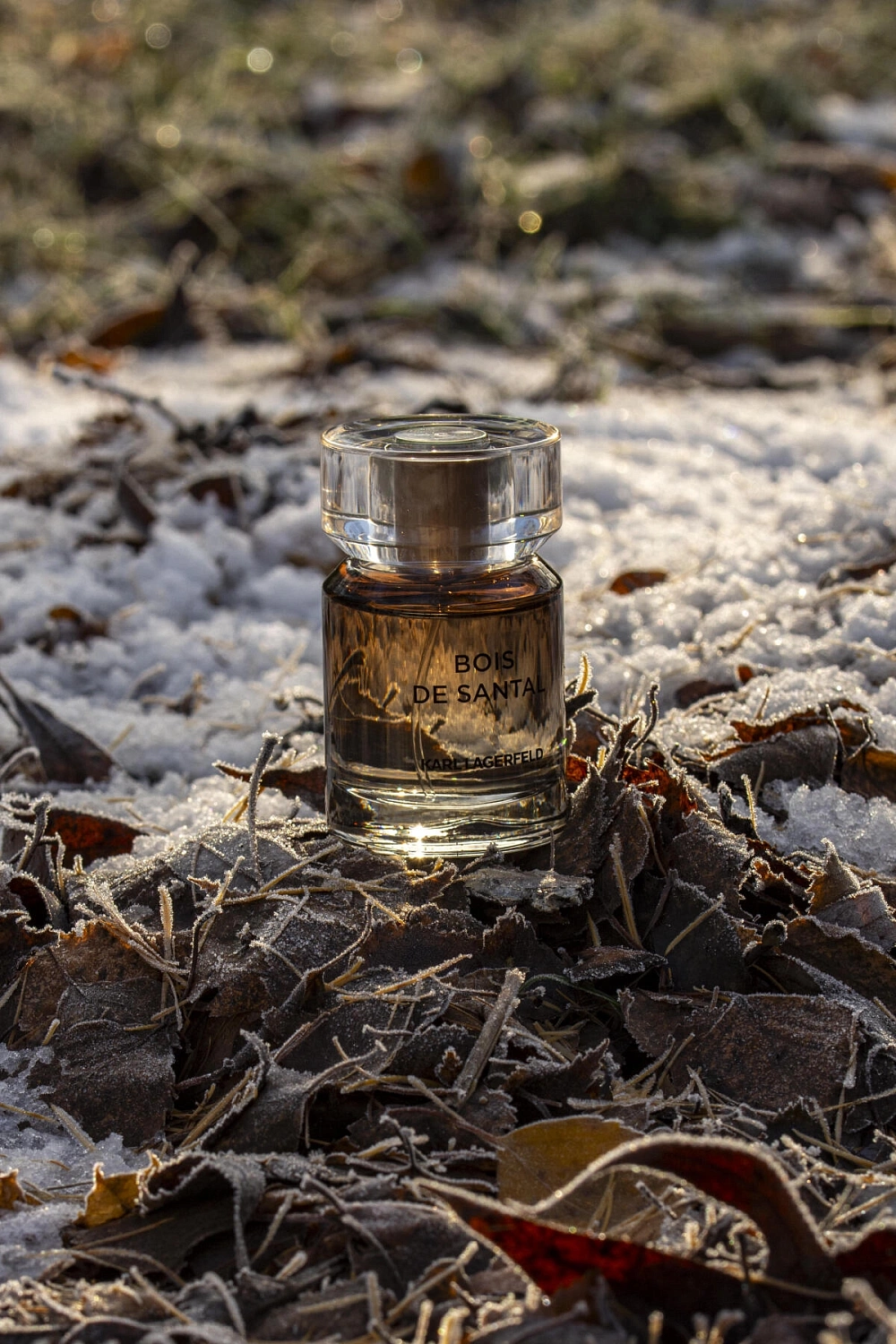 Karl Lagerfeld Bois de Santal