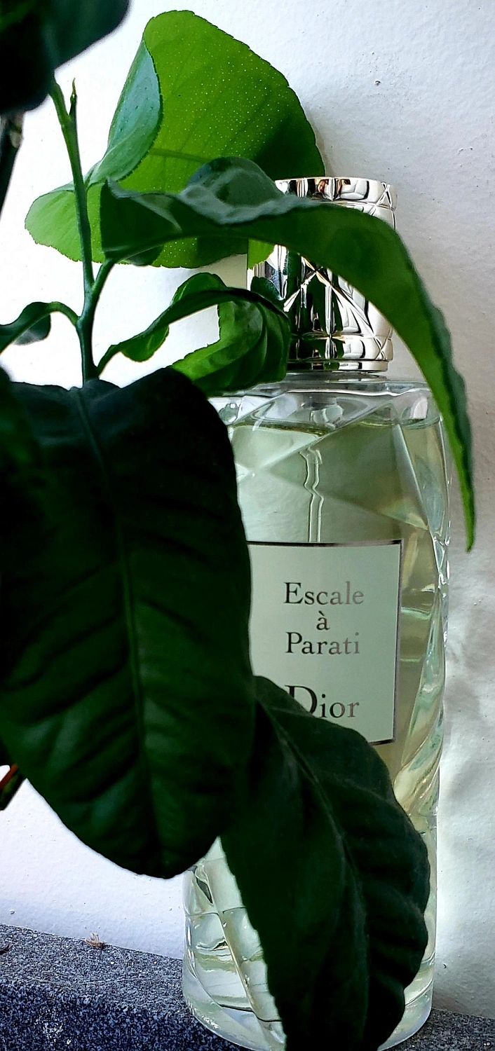 Christian Dior Escale a Parati