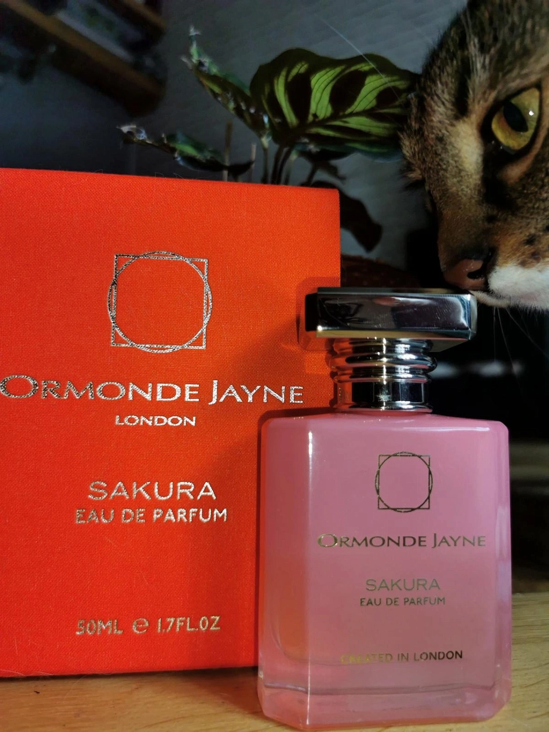 Ormonde Jayne Sakura