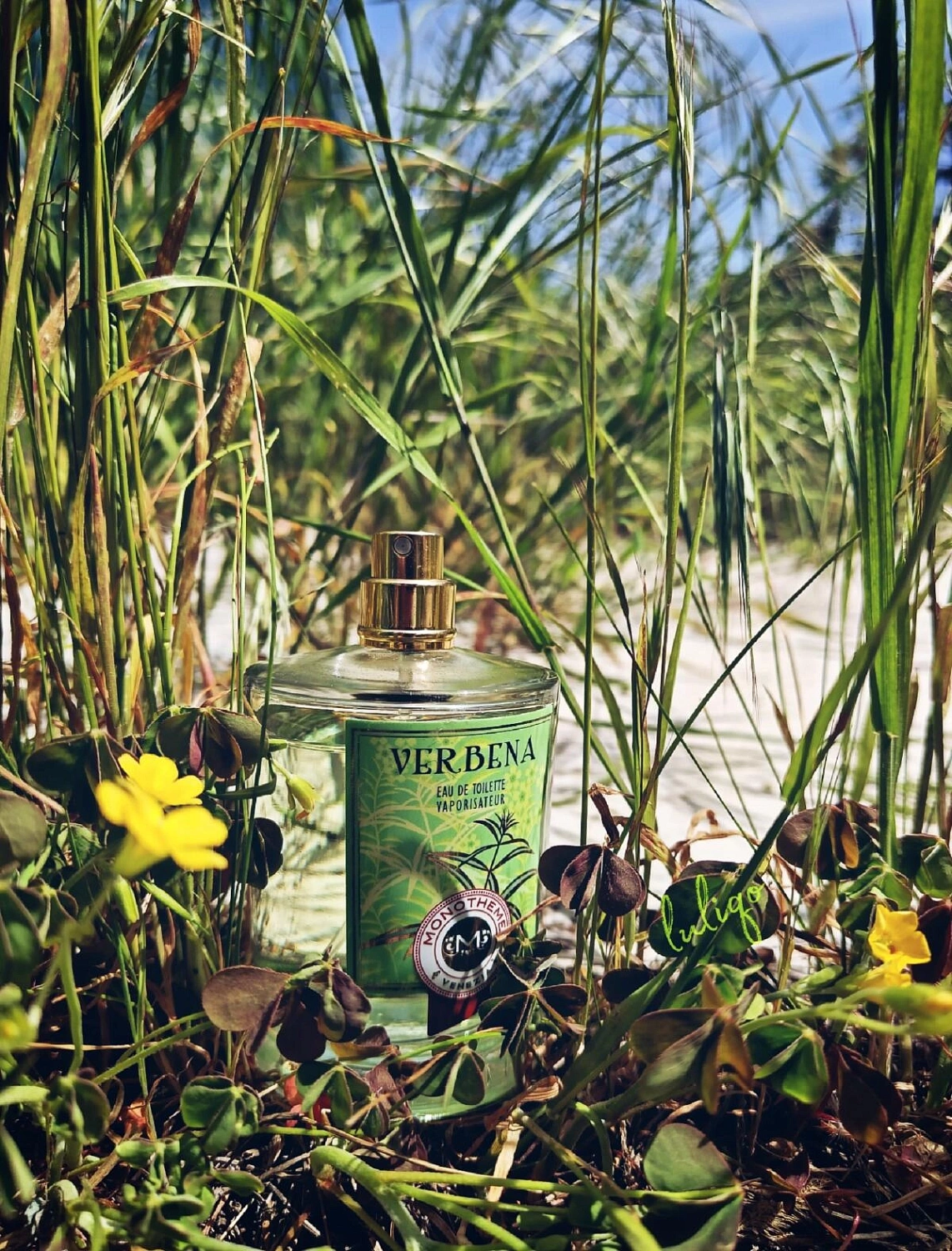 Monotheme Fine Fragrances Venezia Verbena Monotheme Fine Fragrances Venezia Verbena
