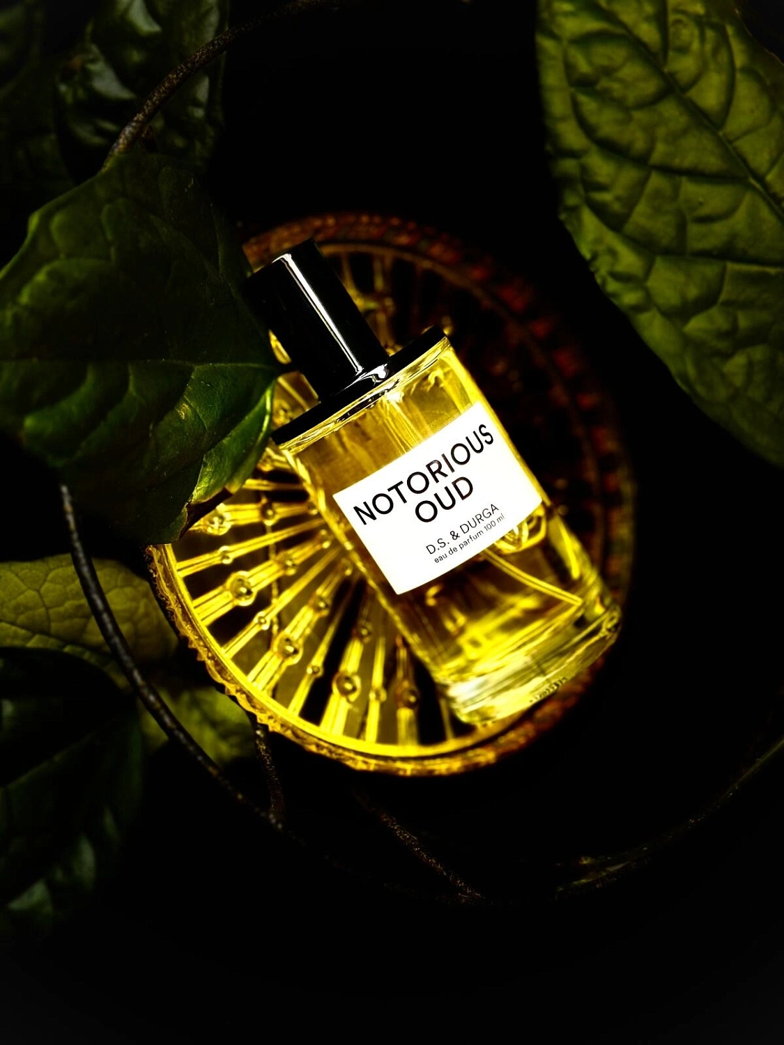 D.S. & Durga Notorious Oud