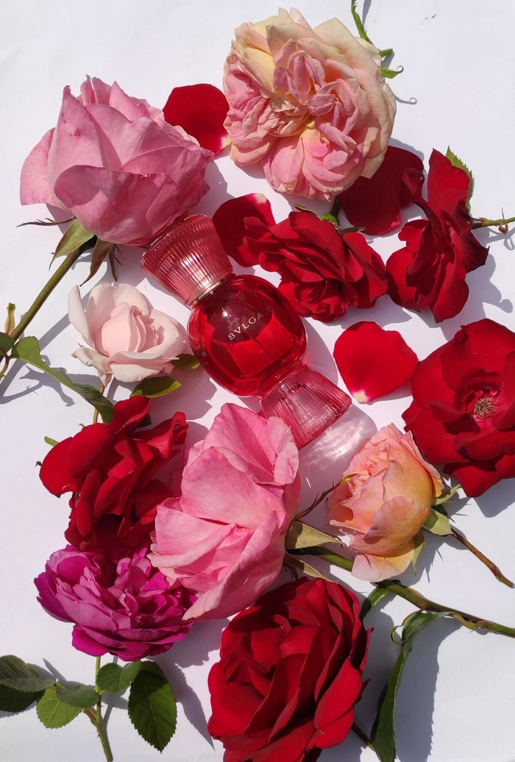 BVLGARI Fiori D'Amore BVLGARI Fiori D'Amore