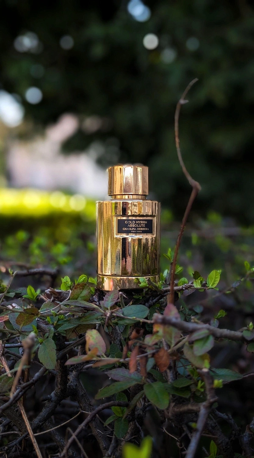 Carolina Herrera Gold Myrrh Absolute