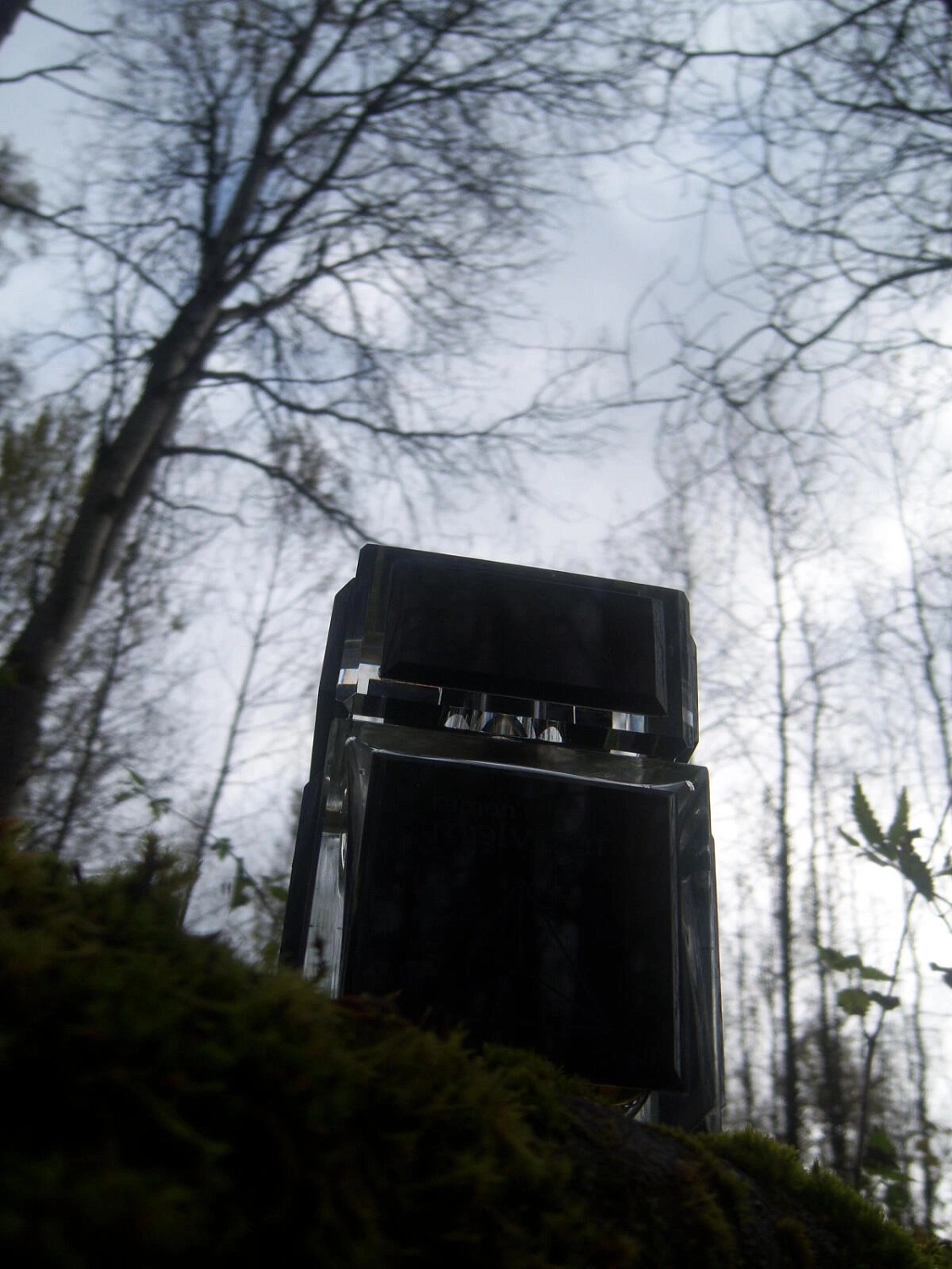 Ramon Molvizar 5 Elements