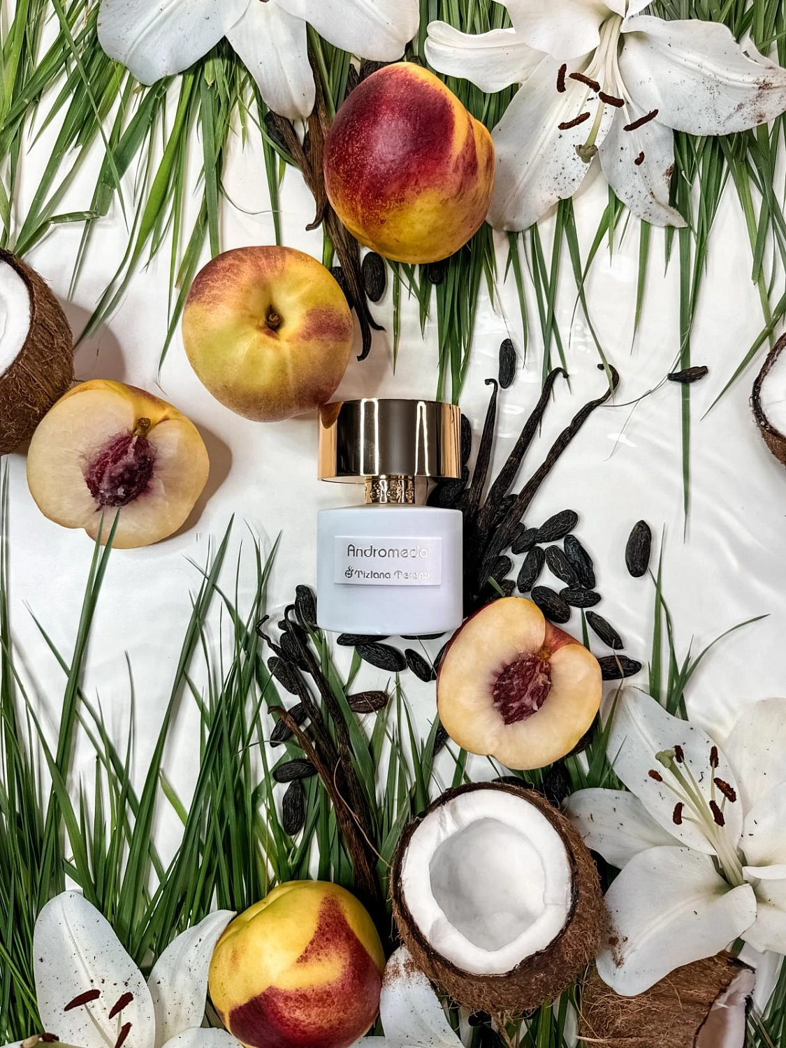 Tiziana Terenzi Andromeda