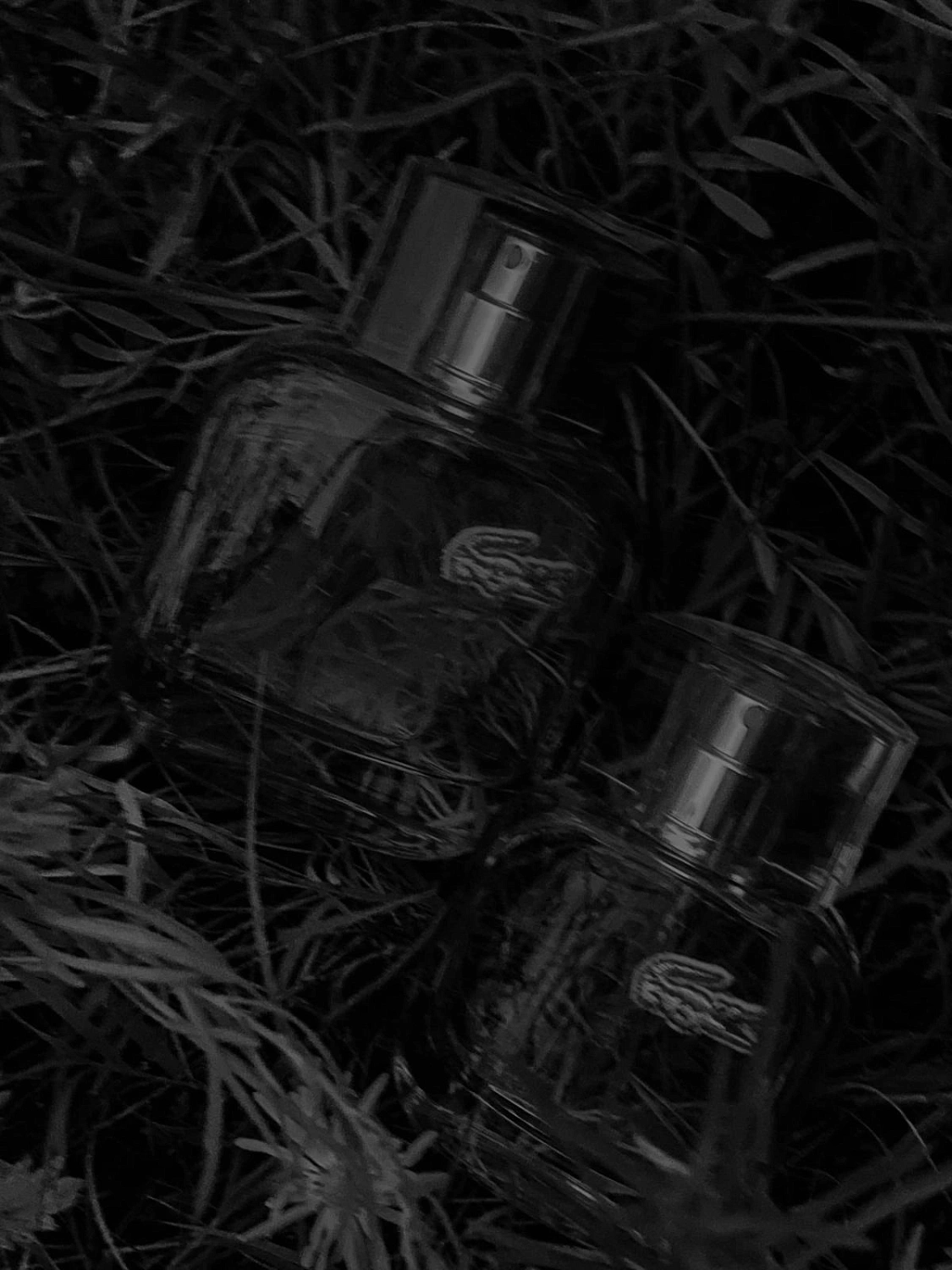 Eau de Lacoste L.12.12 Pour Elle Natural