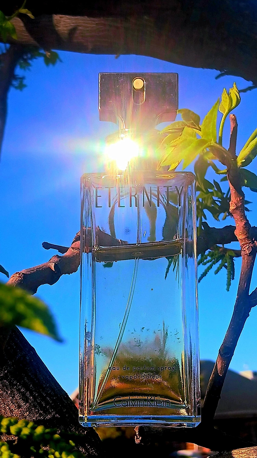 Calvin Klein Eternity