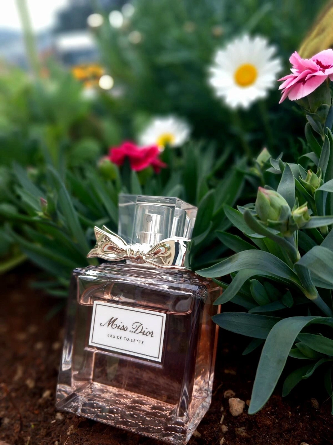 Christian Dior Miss Dior Eau de Toilette 2019