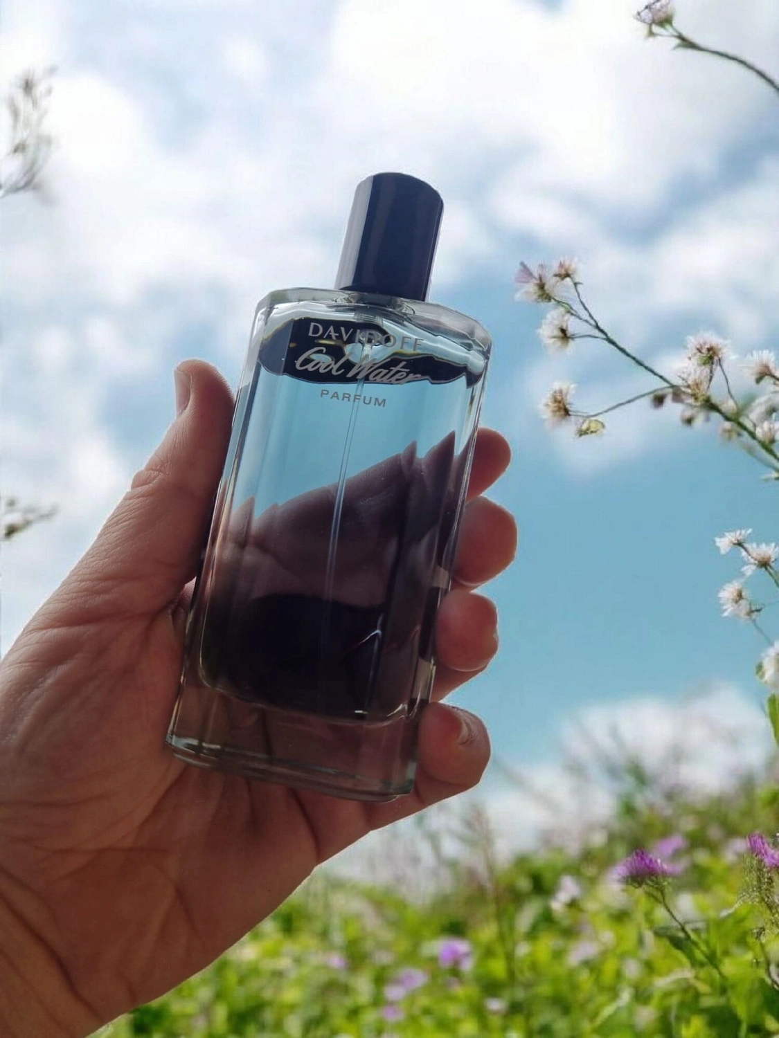 Davidoff Cool Water Parfum