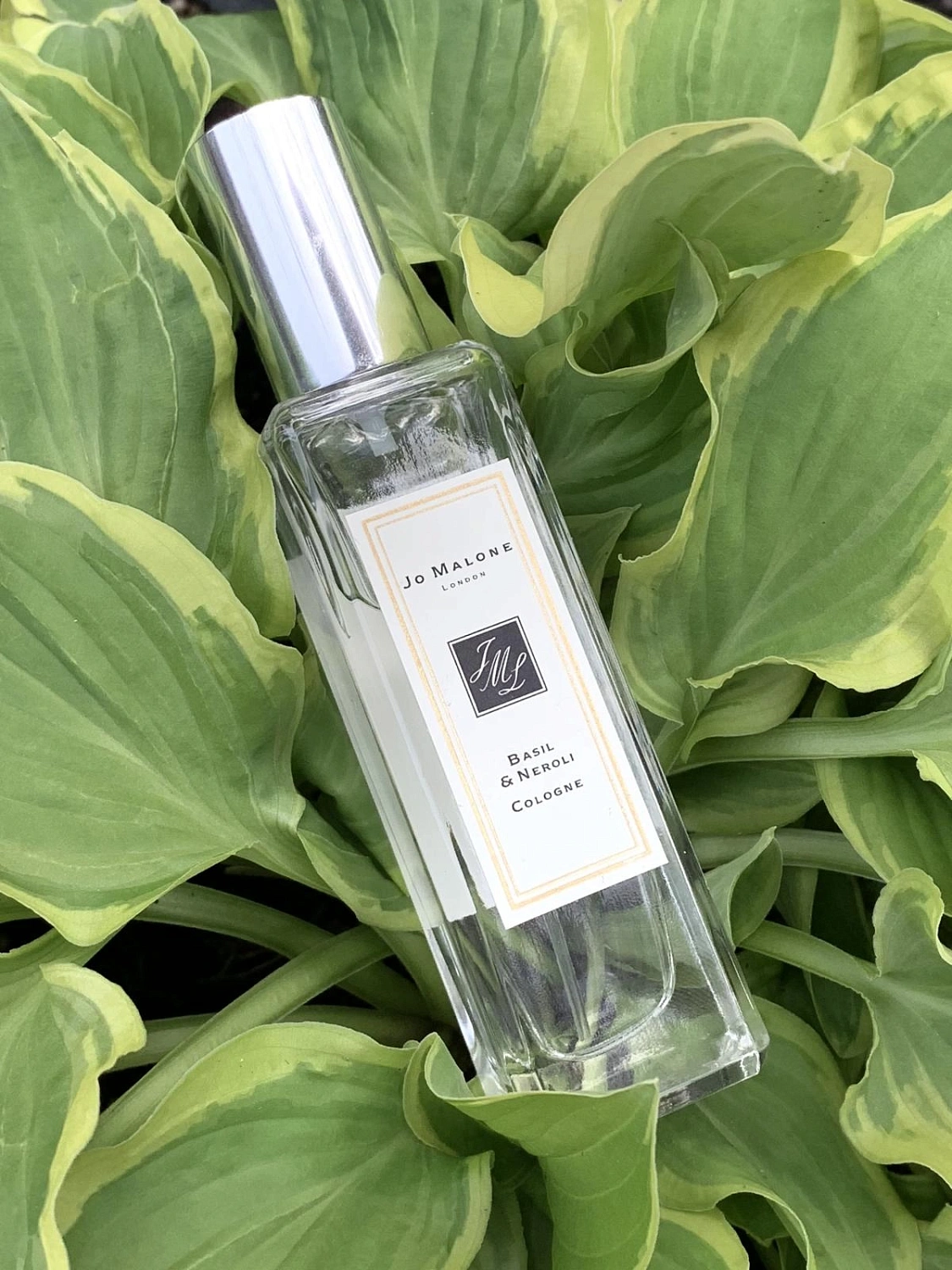 Jo Malone Basil & Neroli