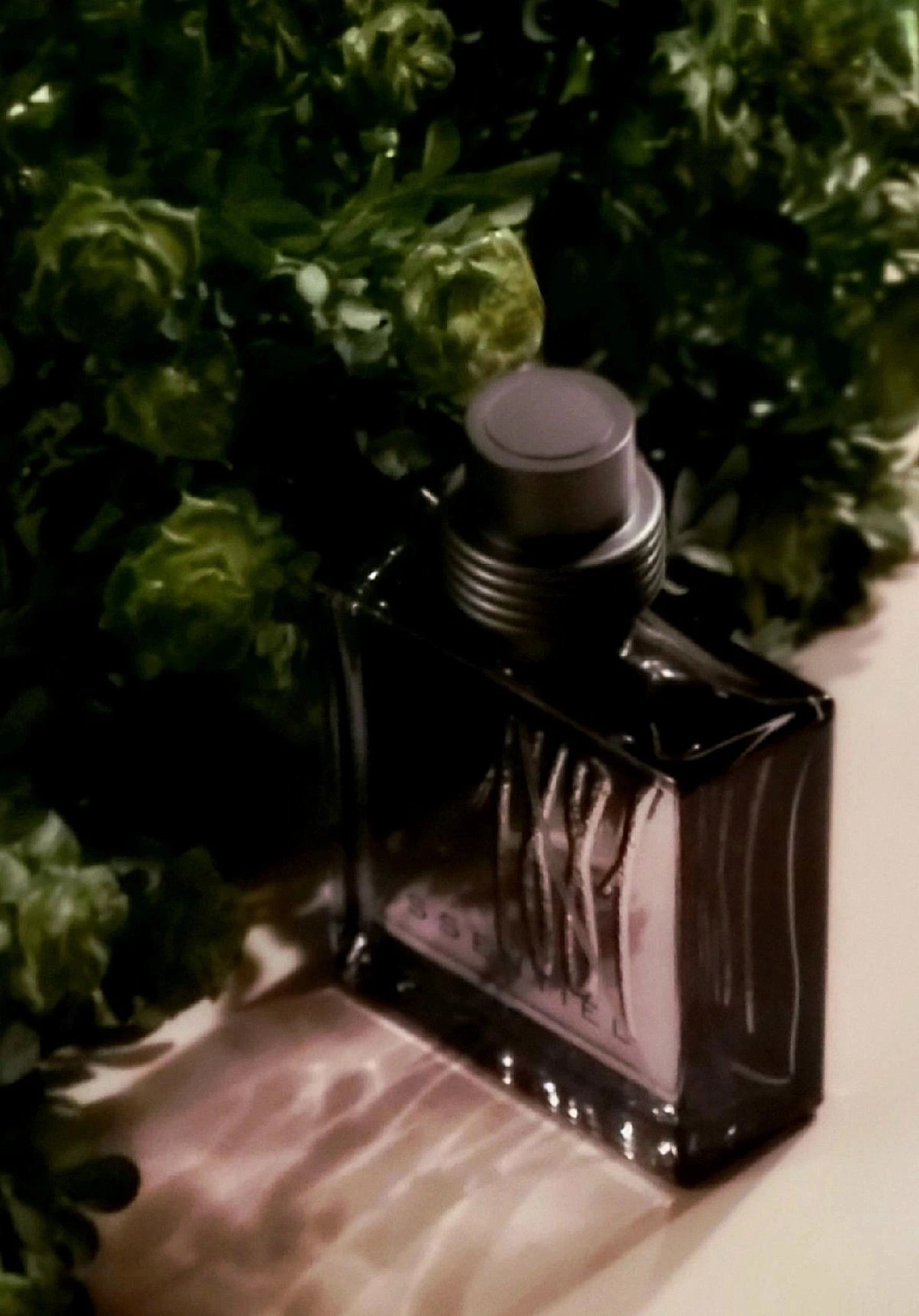 Cerruti 1881 1881 Essentiel