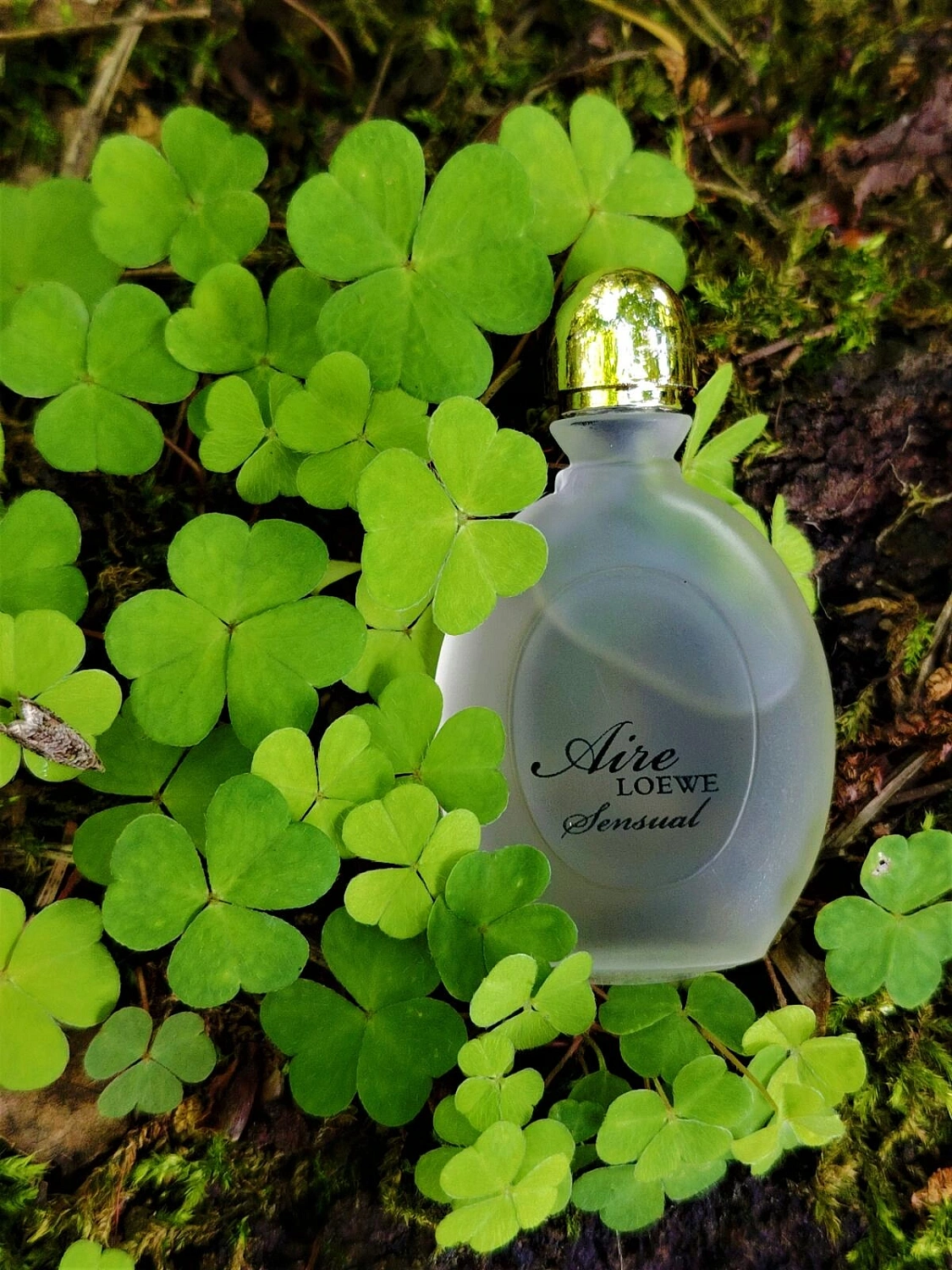 Loewe Aire Sensual Loewe Aire Sensual