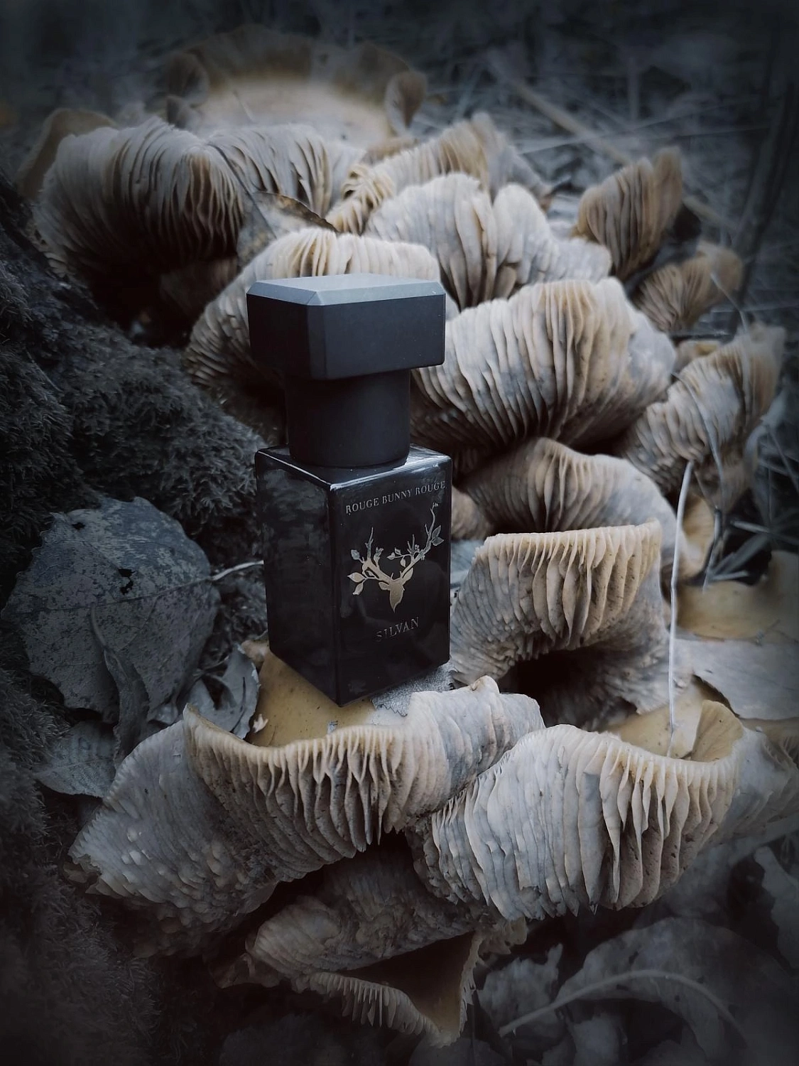 Rouge Bunny Rouge Silvan