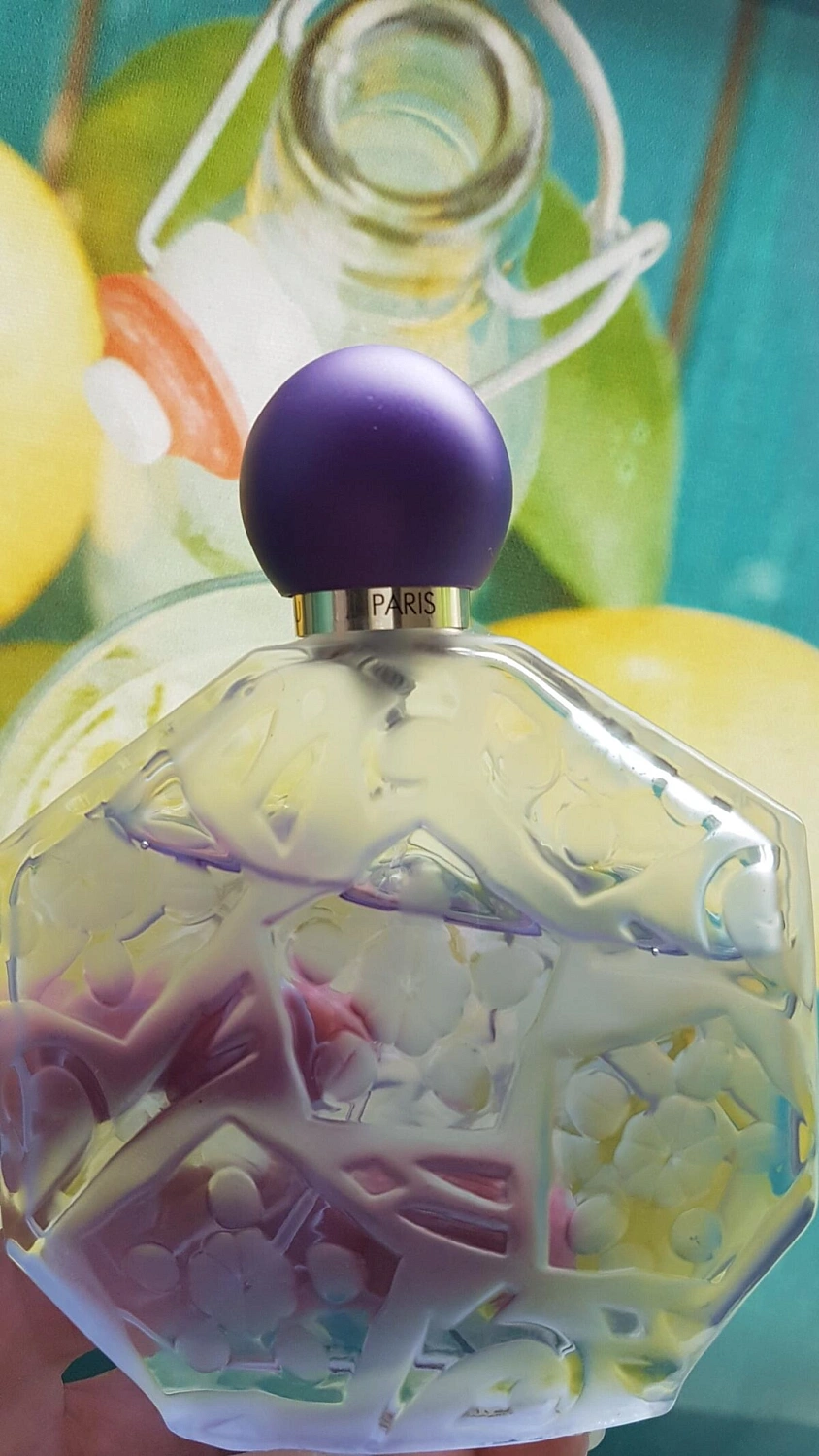 Jean Charles Brosseau Fleurs d'Ombre Nymphea