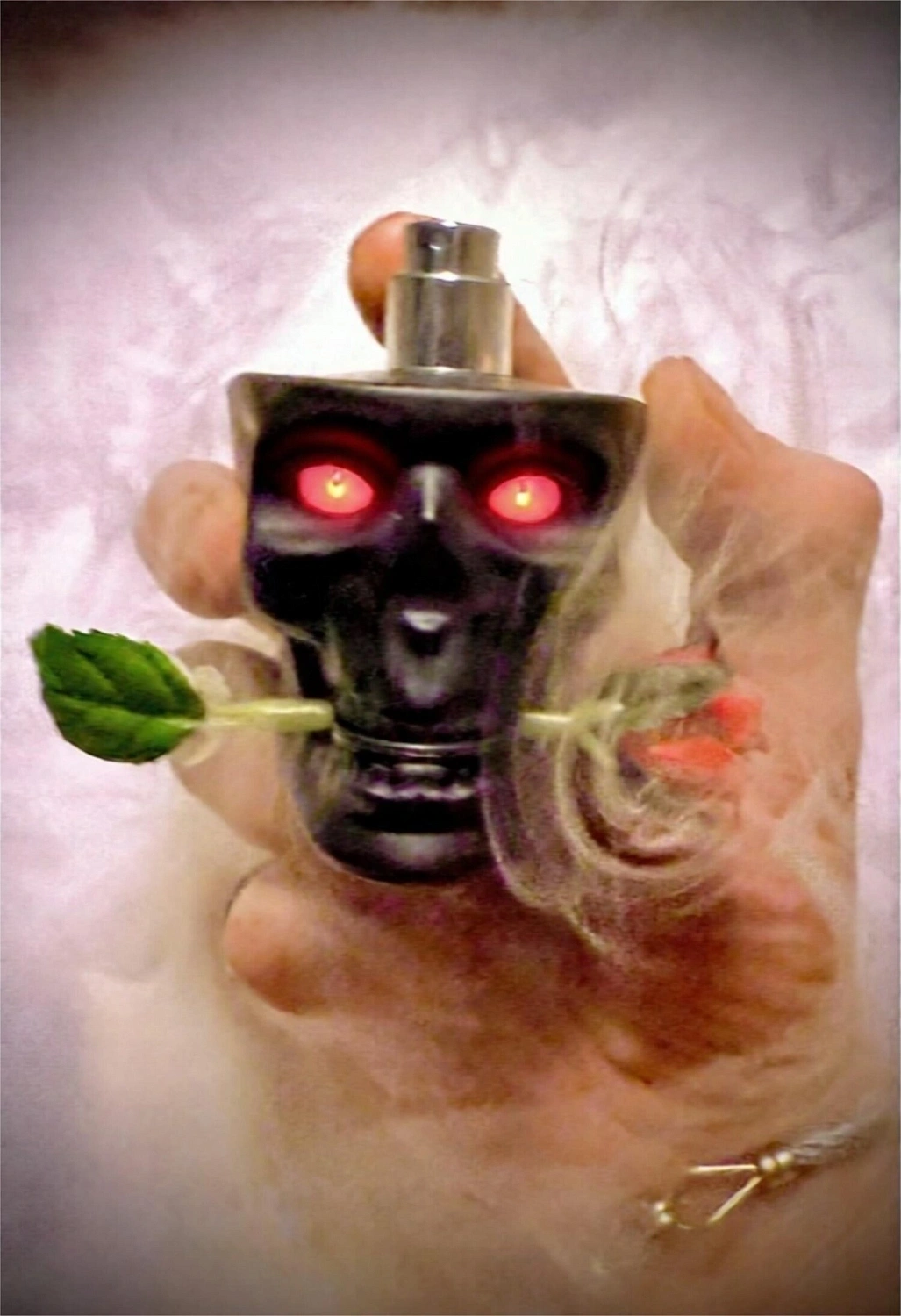 Ed Hardy Skulls & Roses for Him
