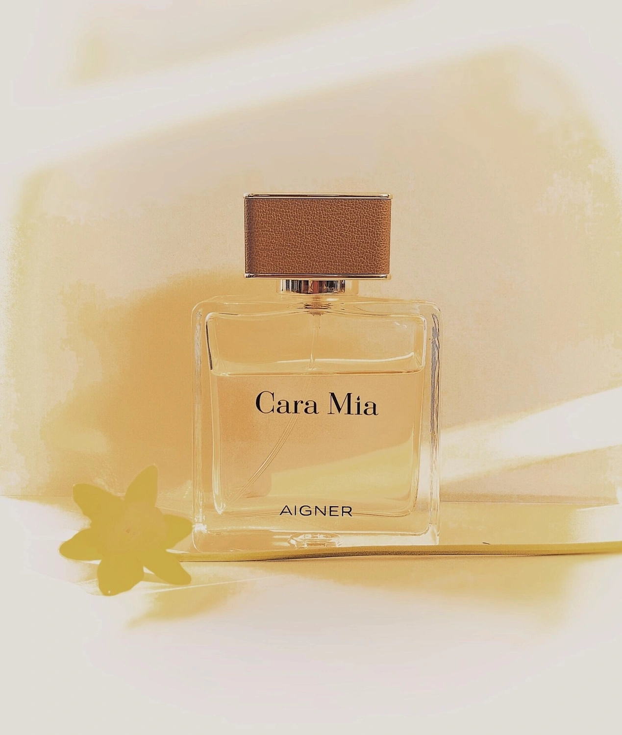 Aigner Cara Mia