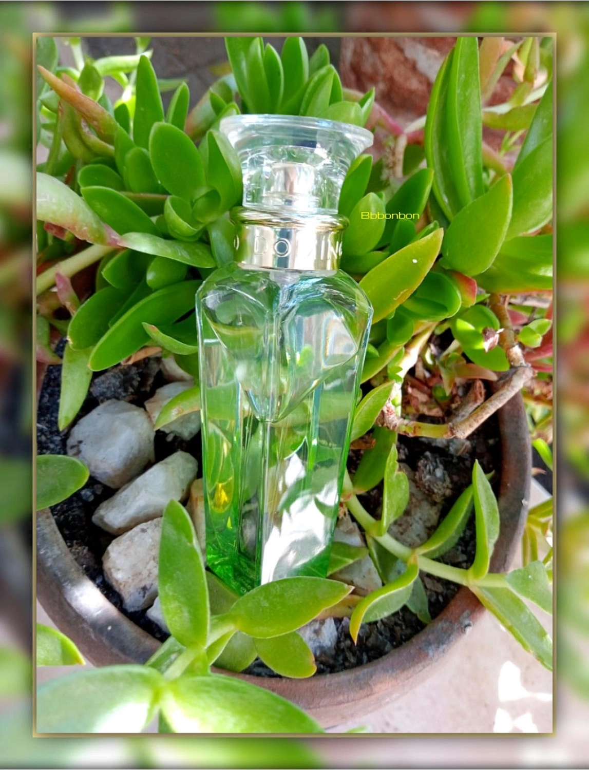 Adolfo Dominguez Agua Fresca de Azahar