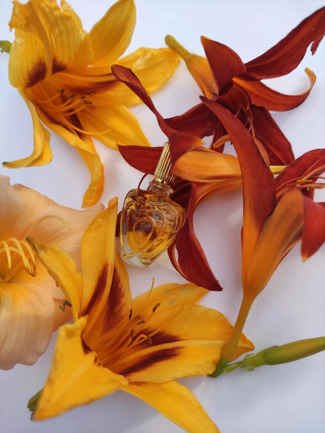 Escada Margaretha Ley