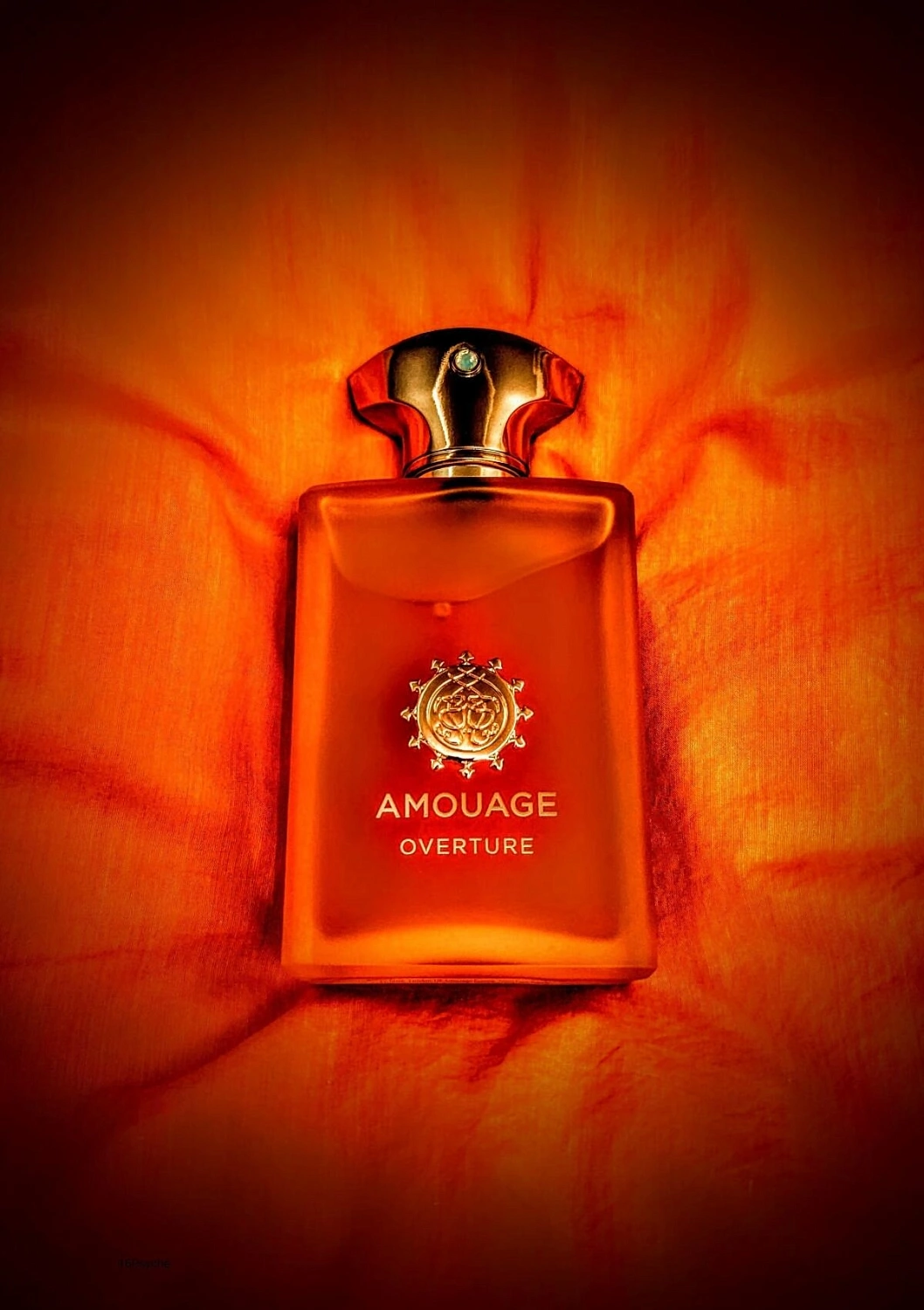 Amouage Overture Man