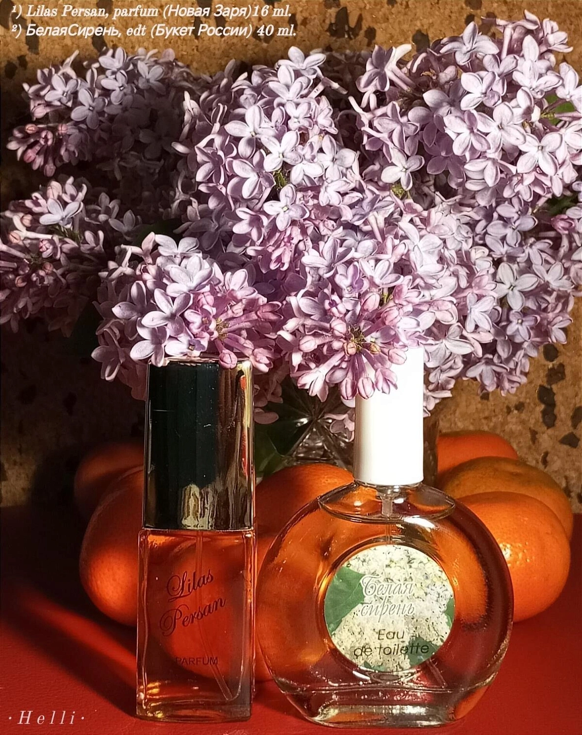 Novaya Zarya (Новая Заря) Персидская сирень (Lilas persan)